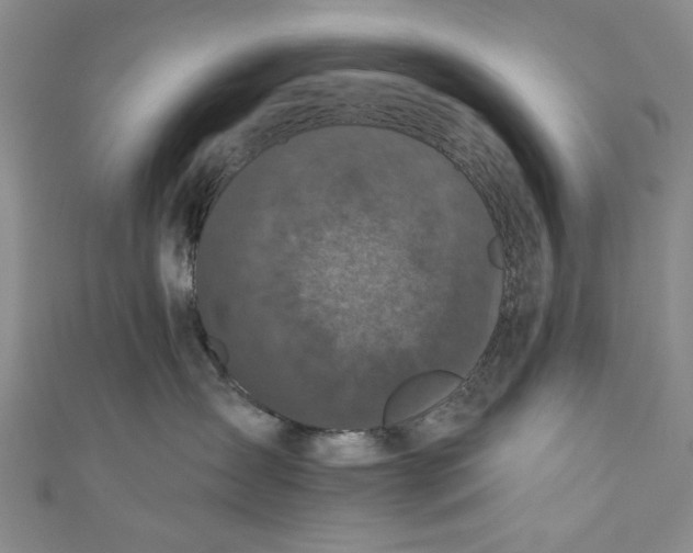 X0000110940431200907101250