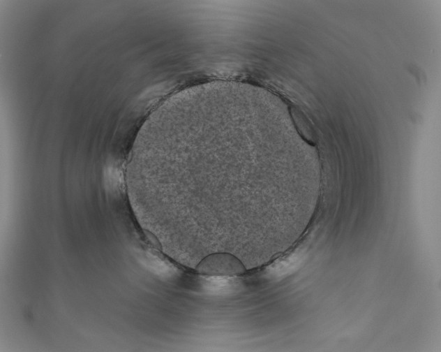 X0000110940432200907101250