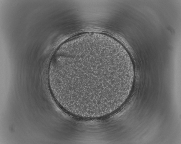 X0000110940433200907101250
