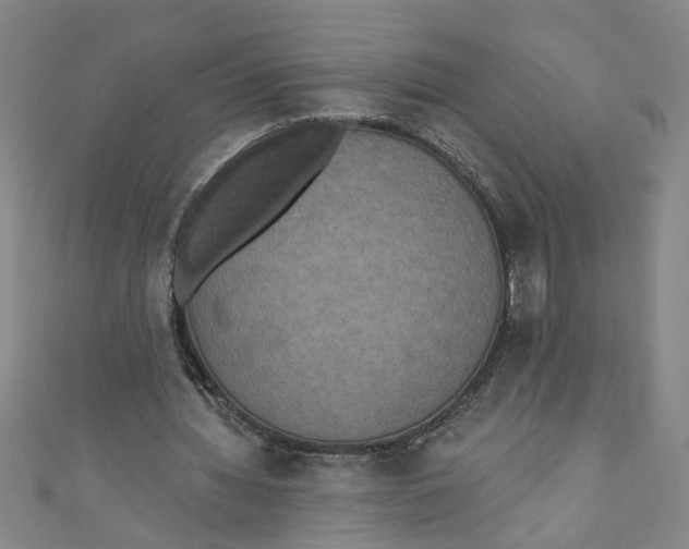 X0000110940436200907101250