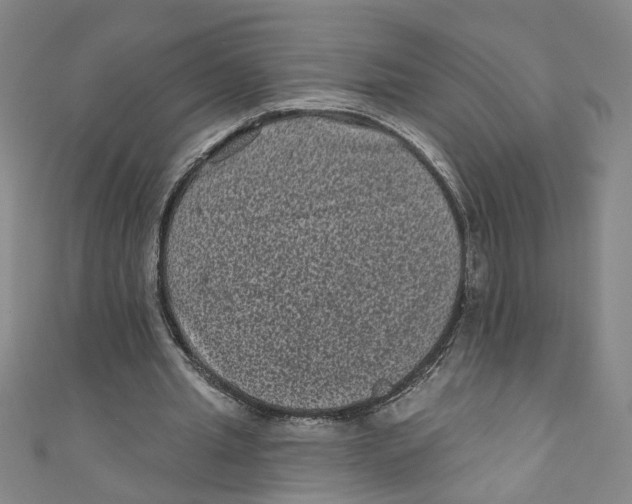 X0000110940437200907101250