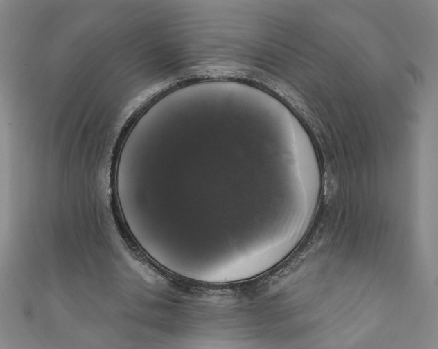 X0000110940438200907101250