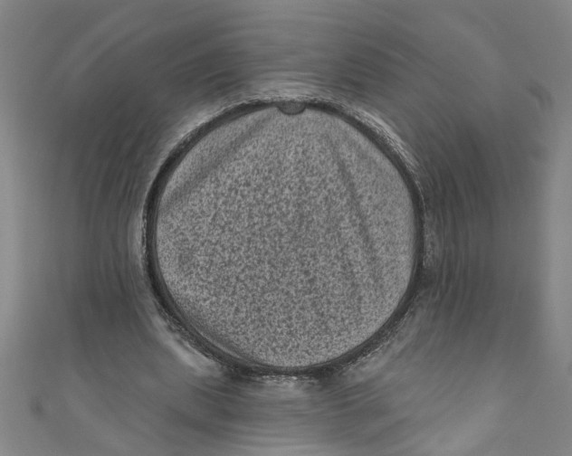 X0000110940439200907101250