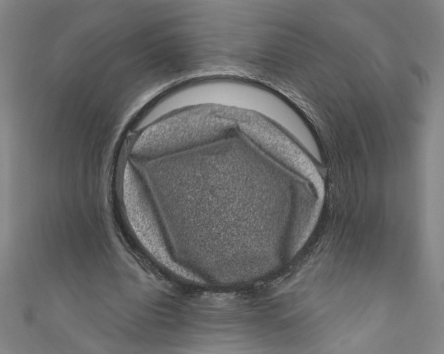 X0000110940440200907101250