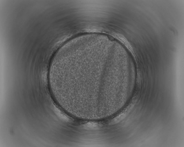 X0000110940441200907101250
