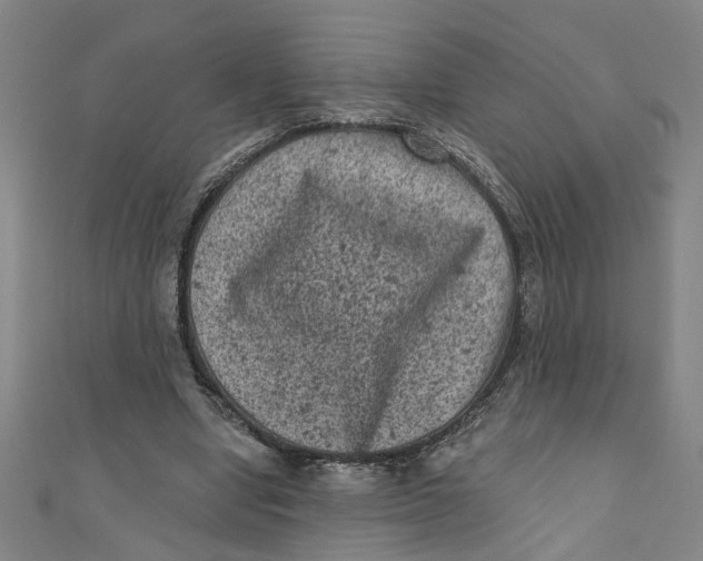 X0000110940442200907101250