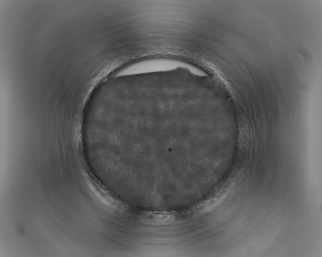 X0000110940443200907101250