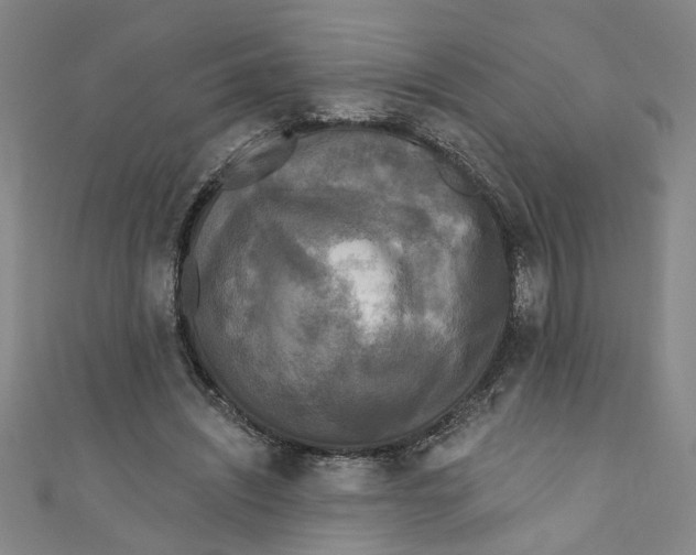 X0000110940444200907101250