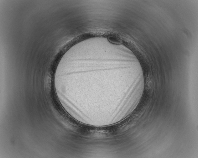 X0000110940448200907101250