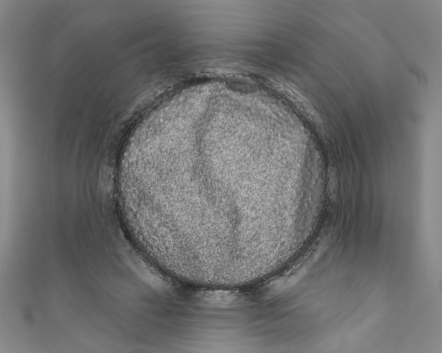 X0000110940449200907101250