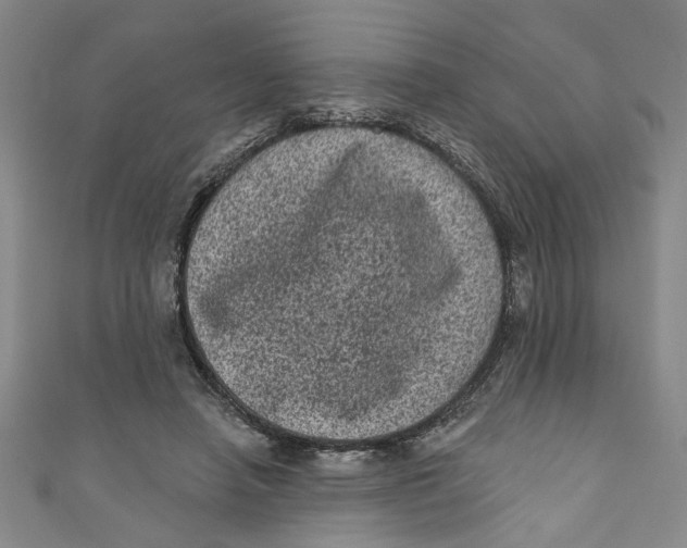 X0000110940450200907101250
