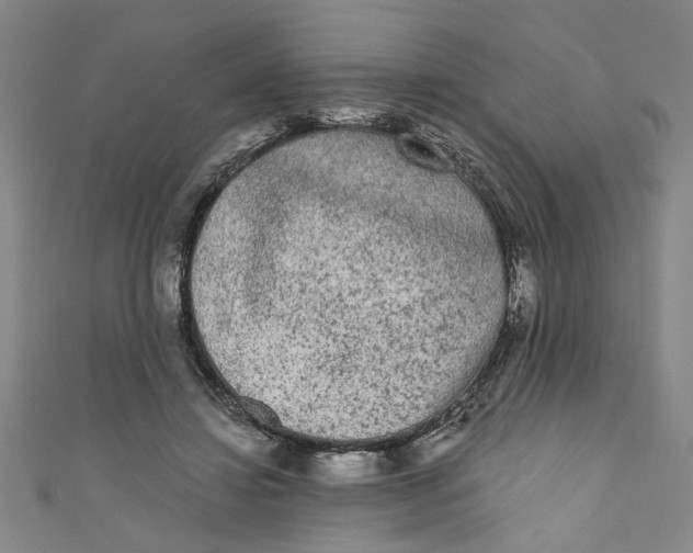X0000110940452200907101250