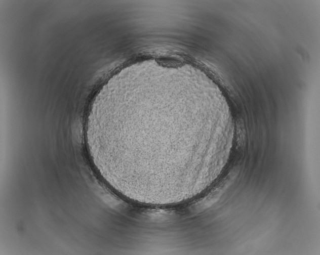 X0000110940453200907101250