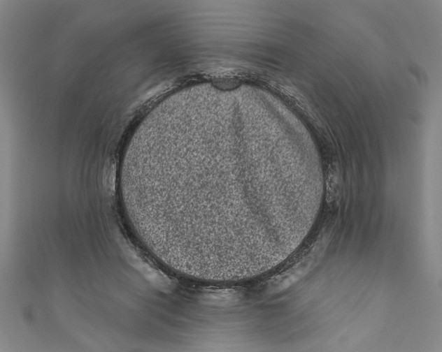 X0000110940454200907101250