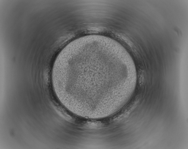 X0000110940455200907101250