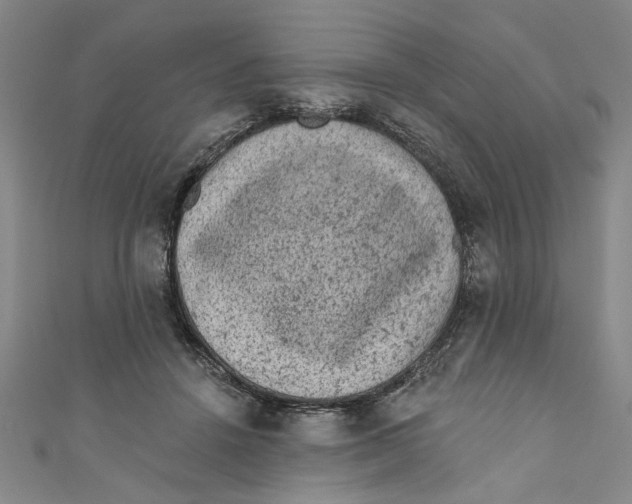 X0000110940456200907101250