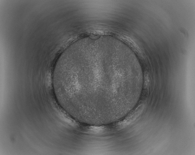X0000110940457200907101250