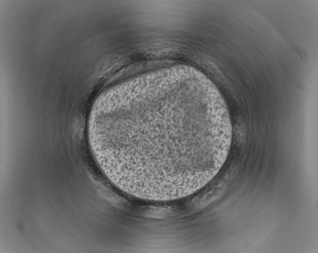 X0000110940458200907101250