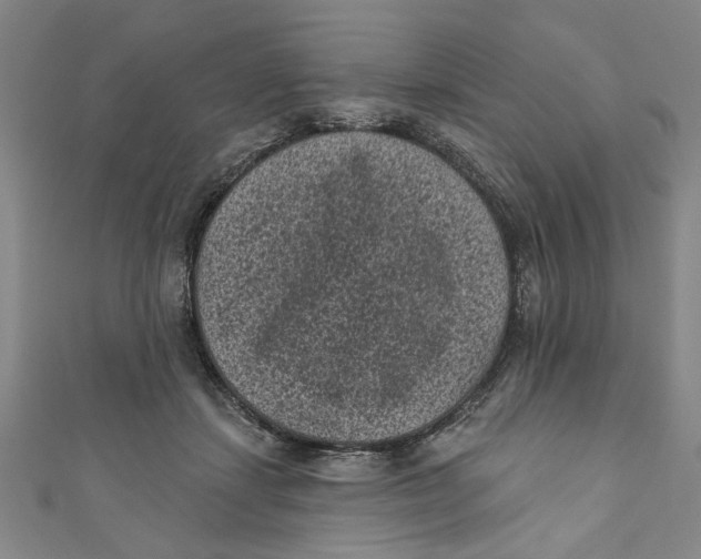X0000110940459200907101250