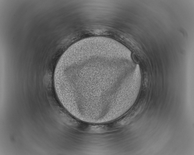 X0000110940461200907101250