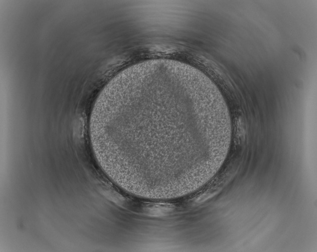 X0000110940463200907101250