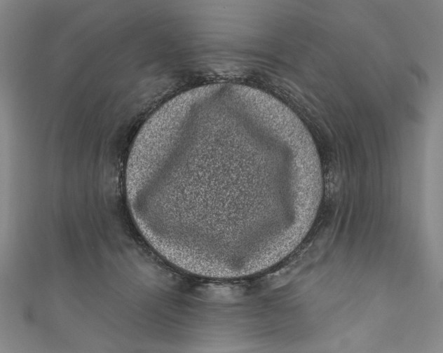 X0000110940464200907101250