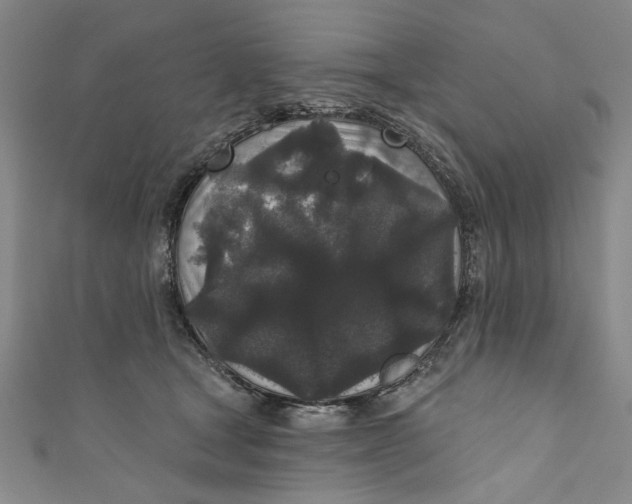 X0000110940465200907101250