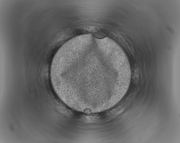 X0000110940466200907101250