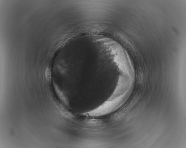 X0000110940467200907101250