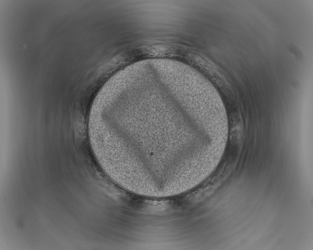 X0000110940469200907101250