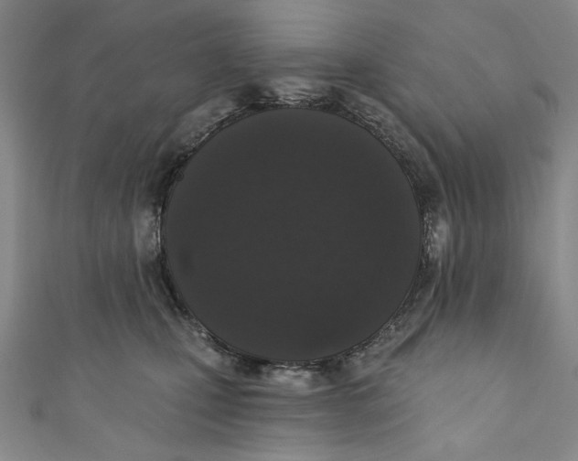 X0000110940471200907101250
