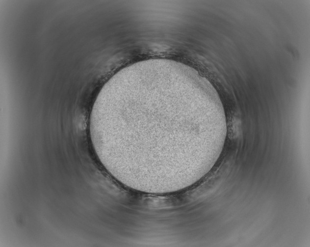 X0000110940472200907101250