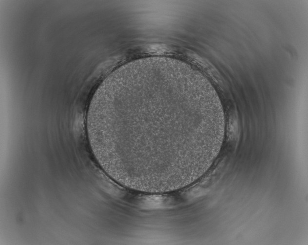 X0000110940473200907101250