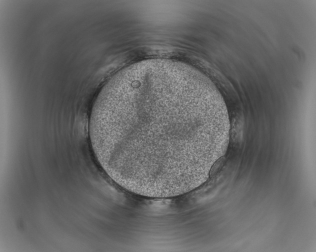 X0000110940474200907101250
