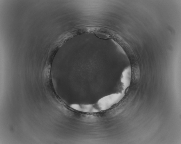 X0000110940475200907101250