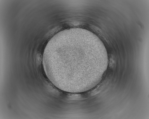 X0000110940476200907101250