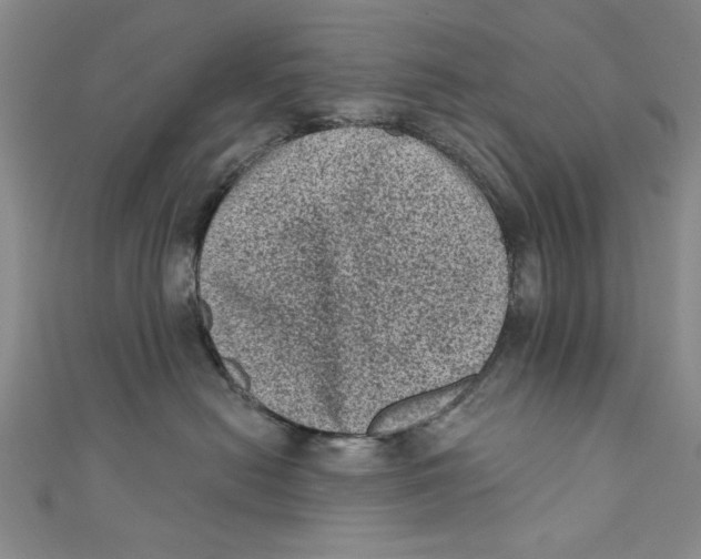 X0000110940478200907101250