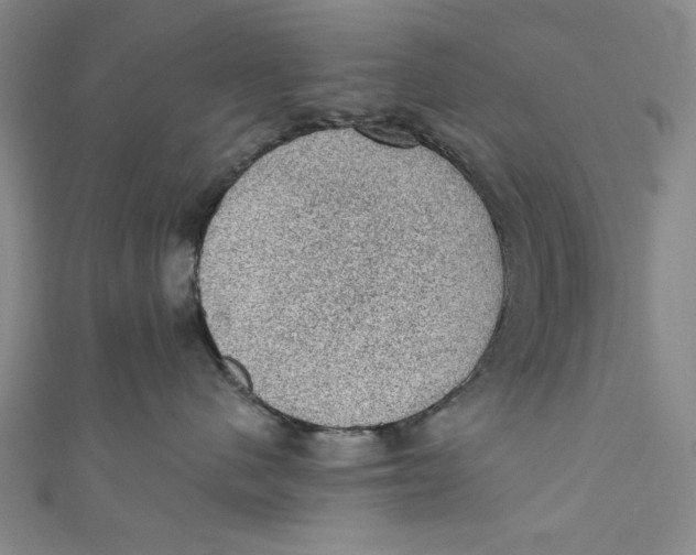 X0000110940480200907101250