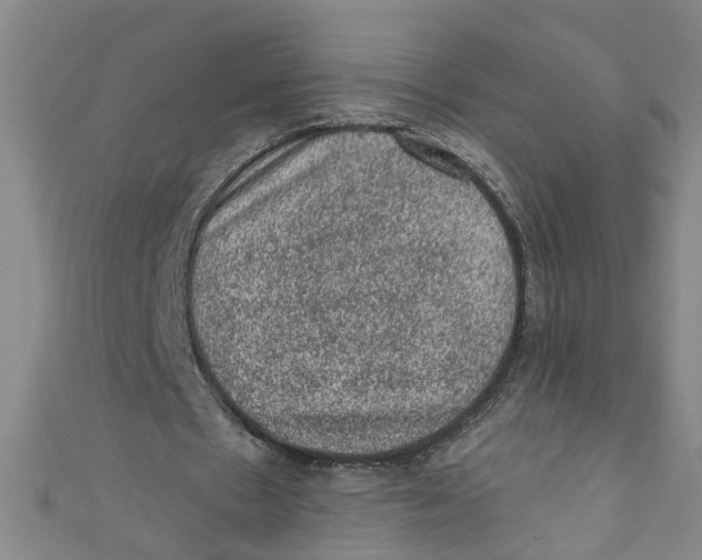 X0000110940481200907101250