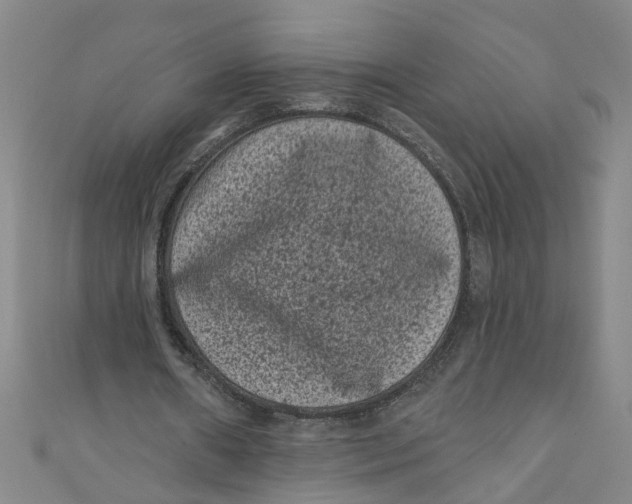 X0000110940482200907101250