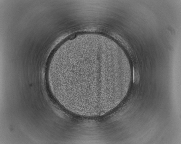 X0000110940483200907101250