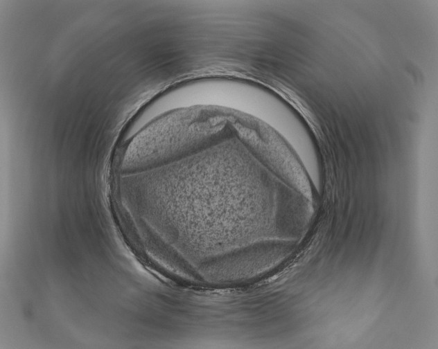 X0000110940485200907101250