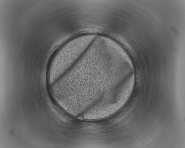 X0000110940486200907101250