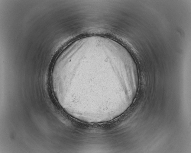 X0000110940487200907101250