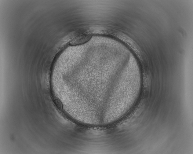 X0000110940489200907101250