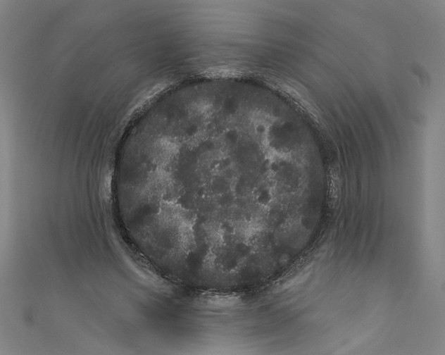 X0000110940491200907101250