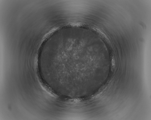 X0000110940492200907101250