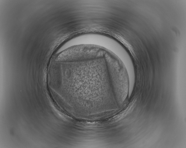 X0000110940493200907101250