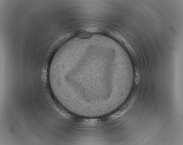 X0000110940497200907101250