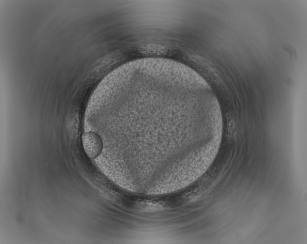 X0000110940498200907101250